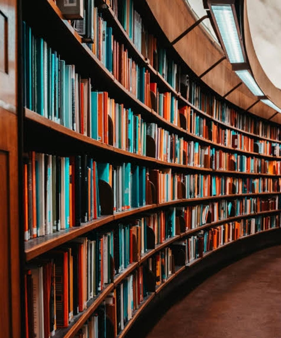 whatsapp image 2025 11 14 at 1.03.56 pm